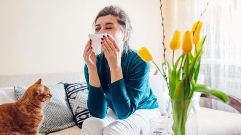 Kako so travme povezane z alergijo na cvetni prah ali na mačke?