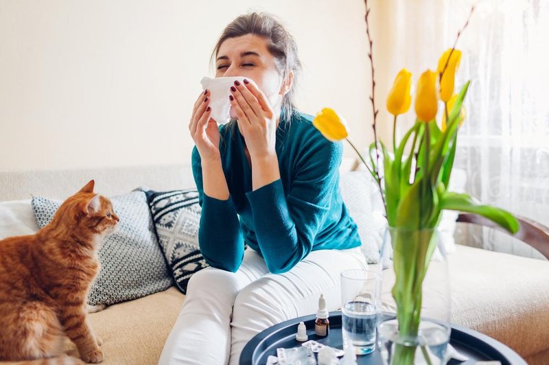 Kako so travme povezane z alergijo na cvetni prah ali na mačke? (foto: shutterstock)