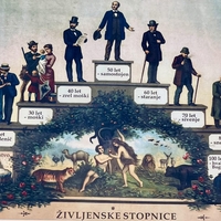 Vsakih 7 let se vse spremeni: V katerem ciklu življenja ste trenutno?
