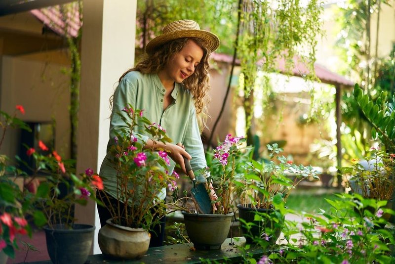 SODA BIKARBONA je čudežno sredstvo za vrt – razkrivamo 9 načinov za njeno uporabo