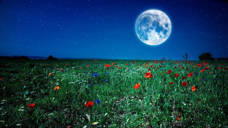 polna luna