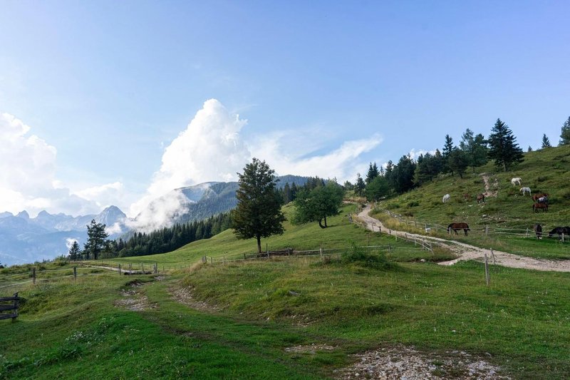 Zdravilne energije nad Bohinjem: Ste že obiskali te močne energetske točke?