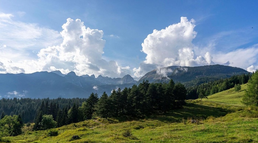 Zdravilne energije nad Bohinjem: Ste že obiskali te močne energetske točke? (foto: profimedia)