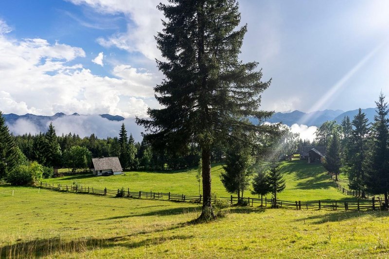 Zdravilne energije nad Bohinjem: Ste že obiskali te močne energetske točke?