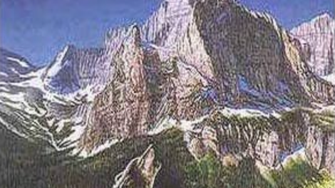 Optična iluzija: koliko volkov je na sliki?