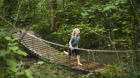 Vaje za otroke z ADHD: od aerobnih vaj do prostega teka po gozdu