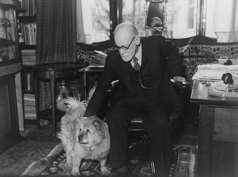 Kako je Freud zasnoval psihoanalizo (in odkril pogovorno terapijo)