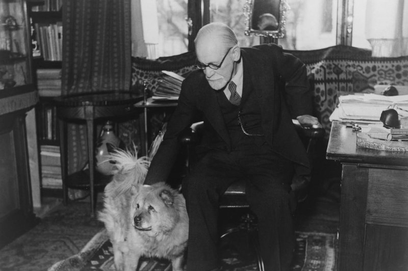 Kako je Freud zasnoval psihoanalizo (in odkril pogovorno terapijo) (foto: profimedia)
