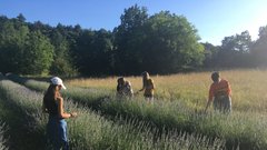 DIŠEČI ZRAČNI ODKLOP 14+ (ustvarjalno druženje na Krasu, 5 –10. julij)