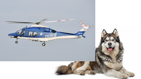 V Bohinju helikopter priskočil na pomoč psički