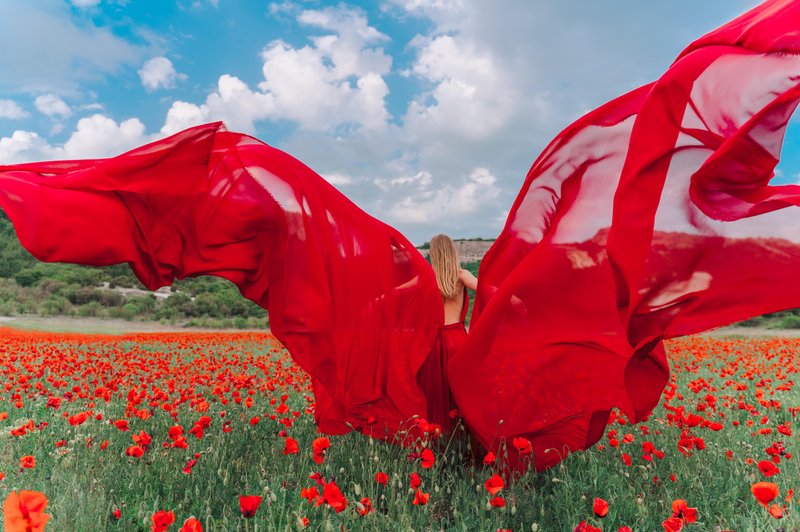 Vsakemu znamenju ustrezajo določene barve. (foto: Shutterstock)