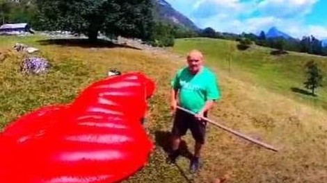 padalec bovec kmet
