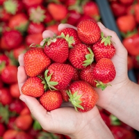 To je 10 najbolj onesnaženih živil s pesticidi