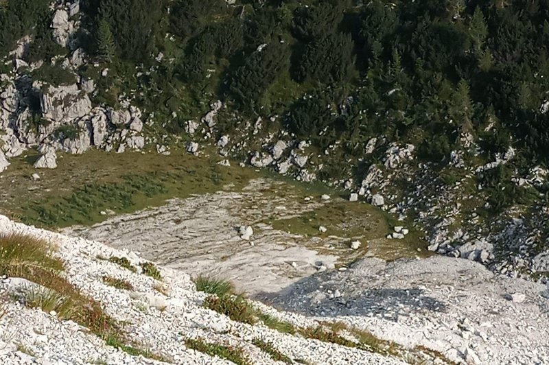 Radiestezist odkril staro svetišče v Slovenskih Alpah (foto: Jože Munih)