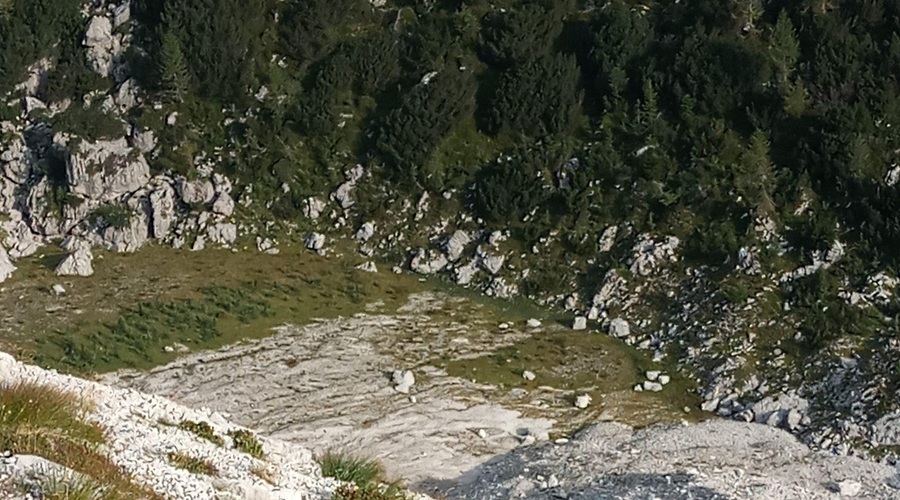 Radiestezist odkril staro svetišče v Slovenskih Alpah (foto: Jože Munih)