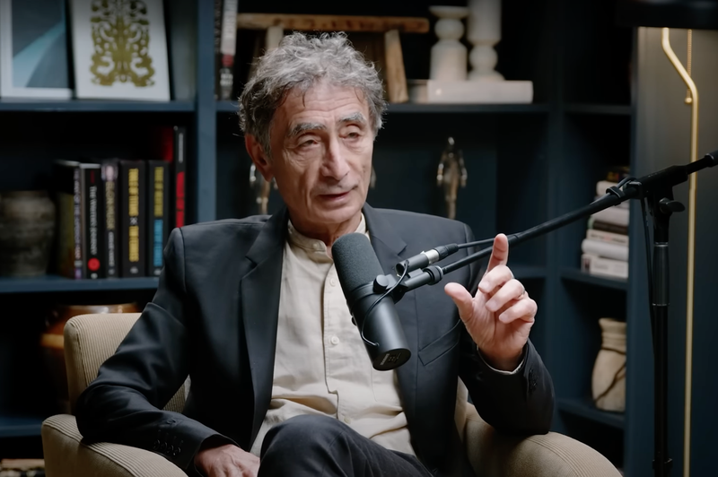 To je najslabša stvar, ki jo lahko storite: Dr. Gabor Mate je jasen – otroci morajo vedeti, kdo je glavni (foto: Jay Shetty Podcast Posnetek zaslona Youtube)