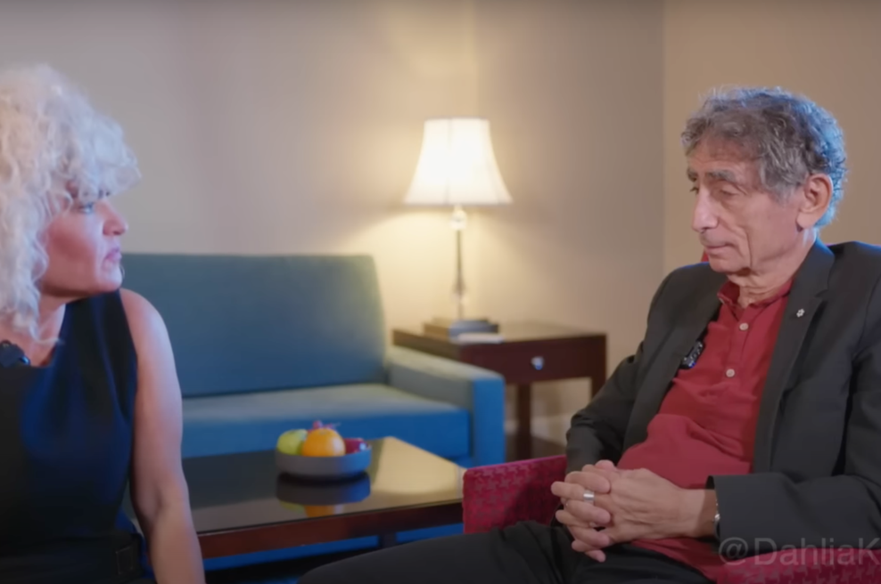 Ali sem dovolj dobra, da bom mama? Gabor Mate razkril pomembno resnico o starševstvu (foto: Posnetek zaslona YouTube)