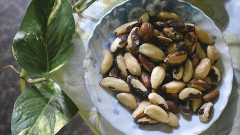 brazilski oreščki, puščajoče črevesje, raziskava