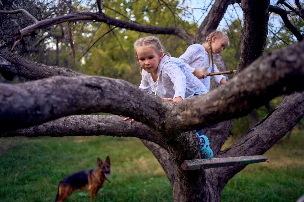 Psihologinja: "Naj vas ne skrbi, če se otrok preveč igra. Bolj naj vas skrbi, če se ne igra dovolj." (foto: profimedia)