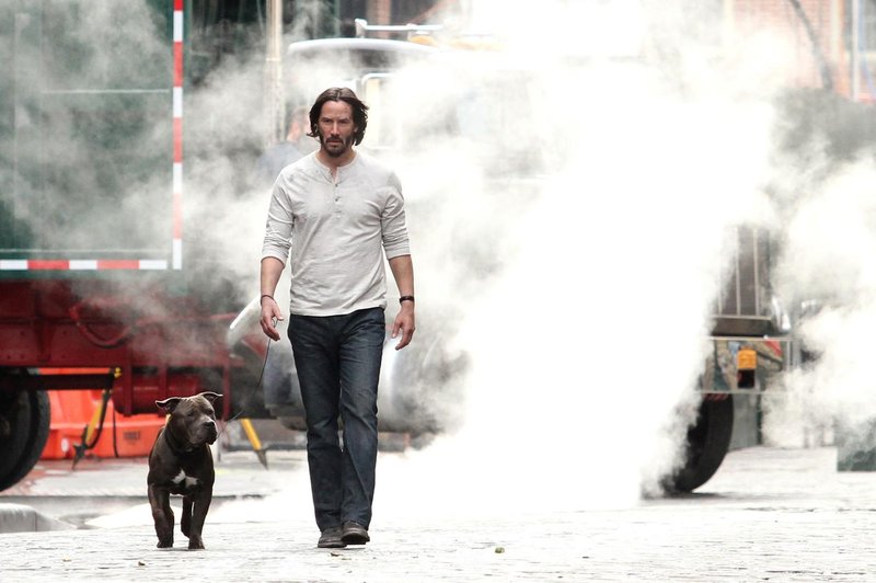 Keanu Reeves: "Dobri ljudje pogosto čutijo globoko ljubezen do živali." (foto: profimedia)