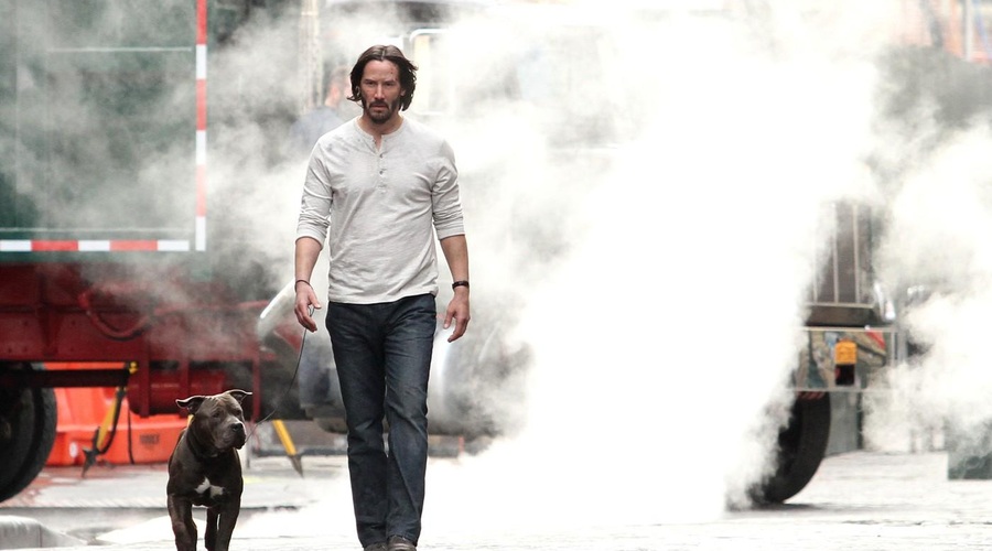 Keanu Reeves: "Dobri ljudje pogosto čutijo globoko ljubezen do živali." (foto: profimedia)