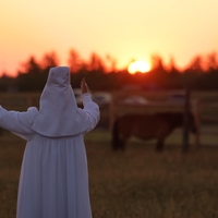Življenje na -71 °C? Njihovo življenje je vse prej kot preprosto