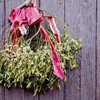 To je bila za naše staroverce SVETA ZEL - obešena je bila v vsaki hiši!