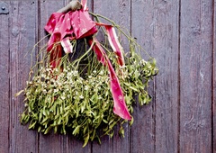 To je bila za naše staroverce SVETA ZEL - obešena je bila v vsaki hiši!