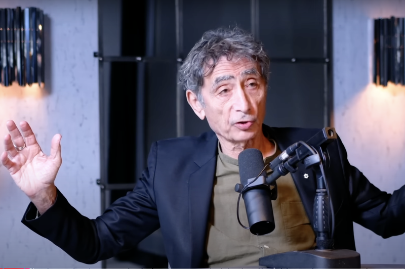 Kako se rešiti iz čustvene zanke? Dr. Gabor Mate razkriva nasvet, ki vodi do svobode (foto: YouTube/printscreen)