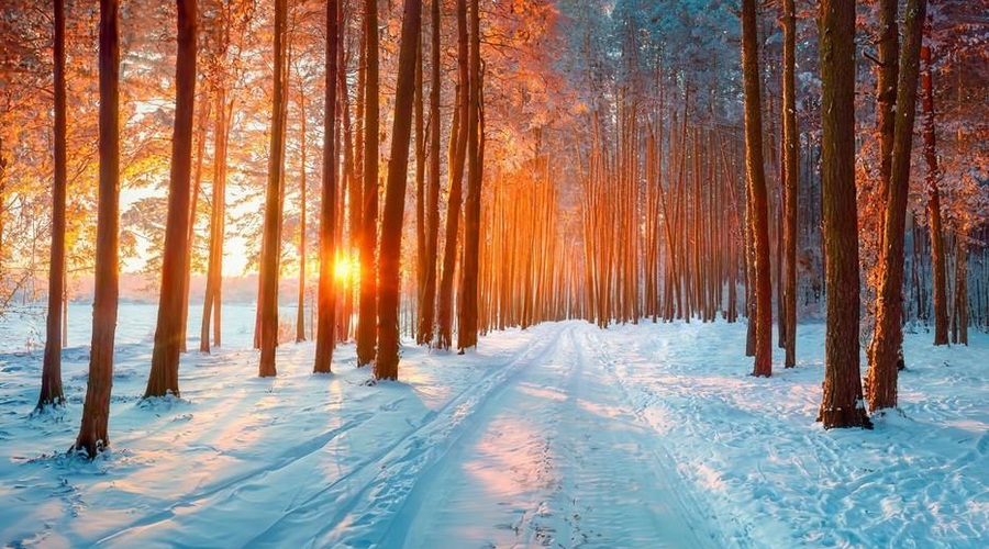 Zimski solsticij 21. 12. – To je v resnici edino pravo novo leto (foto: profimedia)