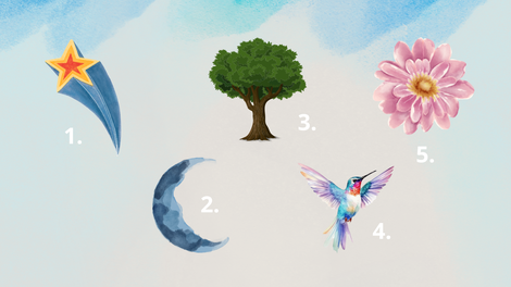 zvezda, luna, drevo, ptica, cvet