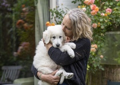 Ljubitelji psov s celega sveta so glasovali za najboljšo pasmo: uganete, katera je zasedla prvo mesto?