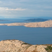 Tako je zvenel vic, zaradi katerega je novinarka pristala na Golem otoku