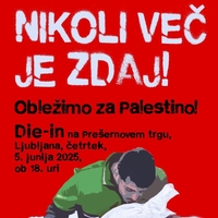 Nikoli več je zdaj! Obležimo za Palestino!