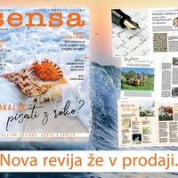 Poletna Sensa prinaša razmislek: "Svet brez vojn se začne v ljudeh, ki spoštujejo lastno dostojanstvo..."