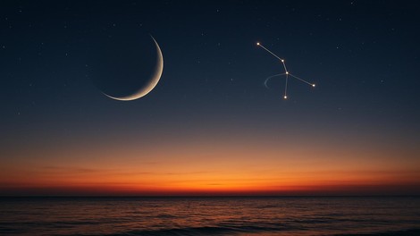 morje luna rak