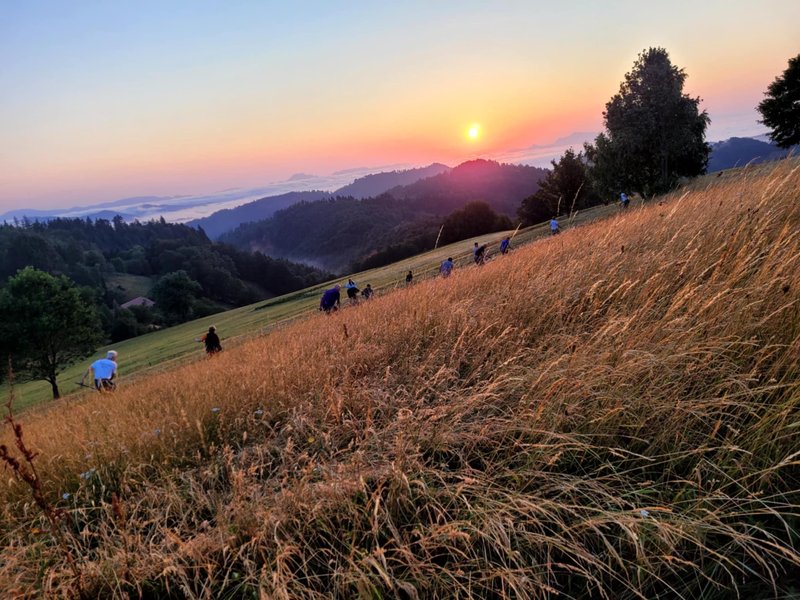 ročna košnja