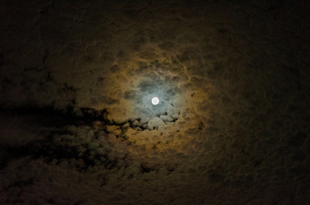 Kaj se v resnici zgodi, če sejete 2 DNI PRED POLNO LUNO? (foto: Unsplash)