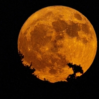 Avgustovska polna luna prinaša preboj za 3 znamenja