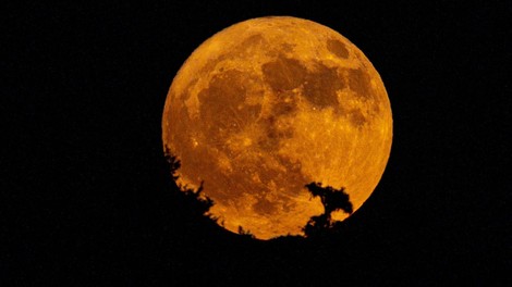 polna luna