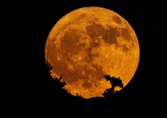 Avgustovska polna luna prinaša preboj za 3 znamenja