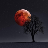 Horoskop za lunin mrk: koga čakajo spremembe in koga nova priložnost?