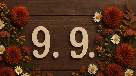 9 / 9
