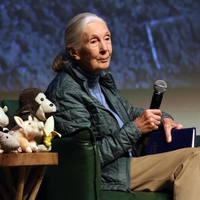 Jane Goodall: "Svoje življenje sem posvetila temu, da sem govorila v imenu živali."