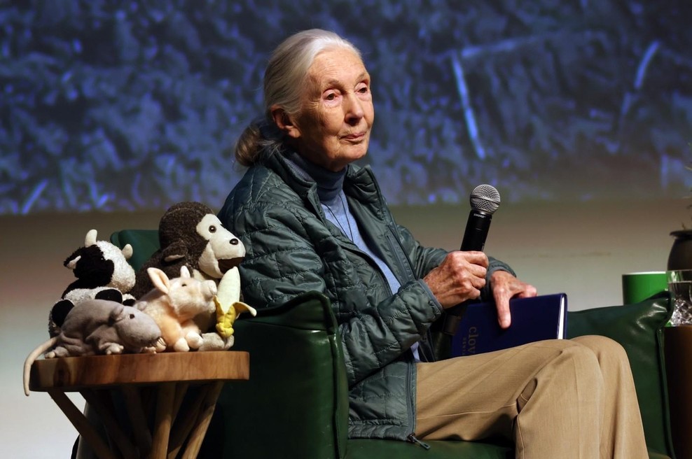 Jane Goodall: "Svoje življenje sem posvetila temu, da sem govorila v imenu živali." (foto: profimedia)