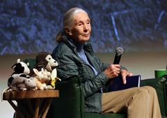 Jane Goodall: "Svoje življenje sem posvetila temu, da sem govorila v imenu živali."