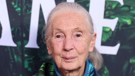 Zadnje besede Jane Goodall: "Trumpa in Muska bi poslala v vesolje"