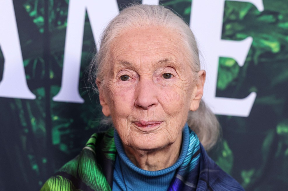 Zadnje besede Jane Goodall: "Trumpa in Muska bi poslala v vesolje" (foto: Profimedia)