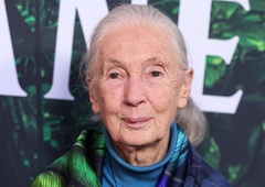 Zadnje besede Jane Goodall: "Trumpa in Muska bi poslala v vesolje"