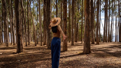 Za koga bo NOVEMBER še posebej čaroben? Astrologi napovedujejo srečo tem znamenjem